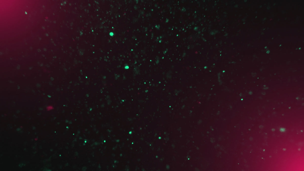 Christmas Glitter 07