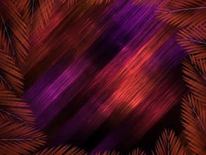 Vivid Fibers Palm Circle Dark