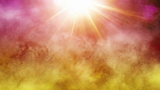 Bright Palm Sunday 09