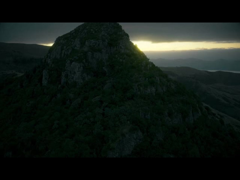 Aerial Bliss 9