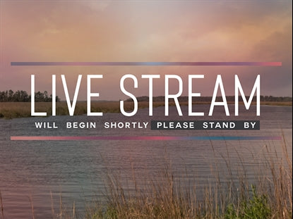 Tidelands Live Stream