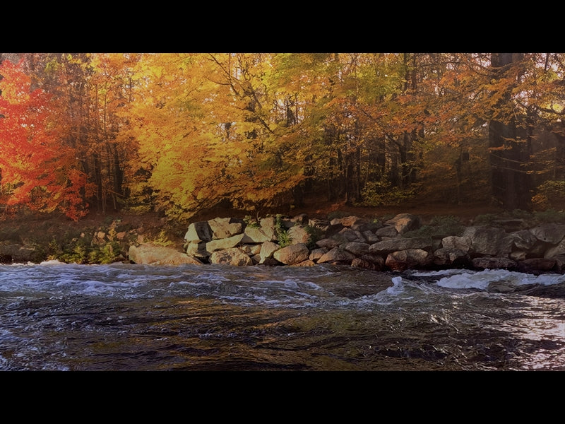 Northwest Fall 14