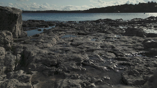 Northern Shores 9 Still