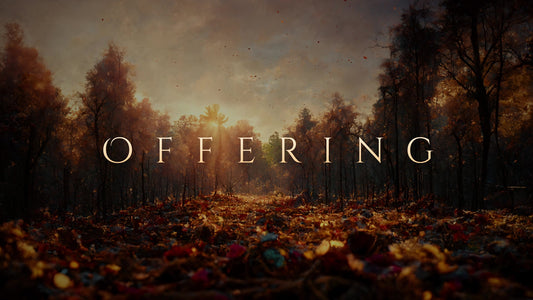 Autumn Skynet Offering Still