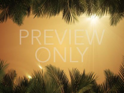 Sky View Palm Branches Gold