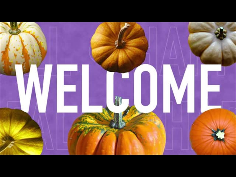 Multi Pumpkin Welcome
