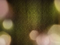 Curtain 2