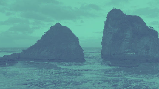 The Coast 9 Alt Still