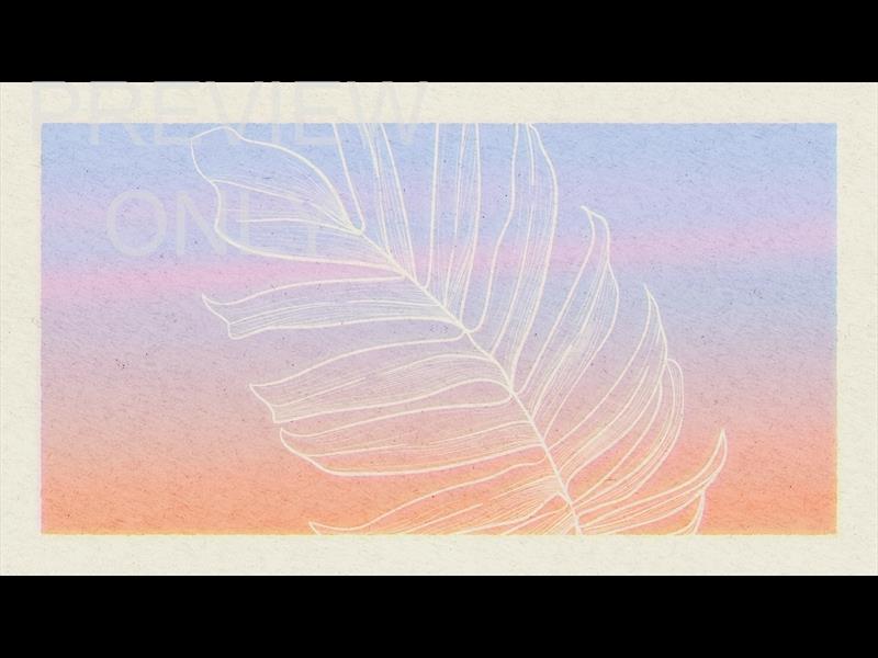 Paper Palm Still 01