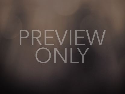 Heavenly Palm Branches 2