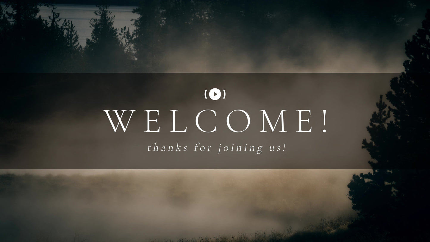 Misty Lent Welcome Stream Still