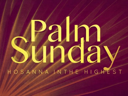 Radiant Palms Motion 1