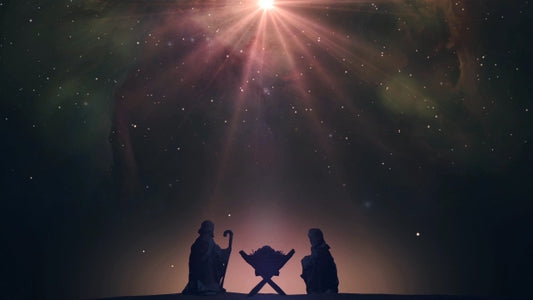 Christ The Savior Nativity