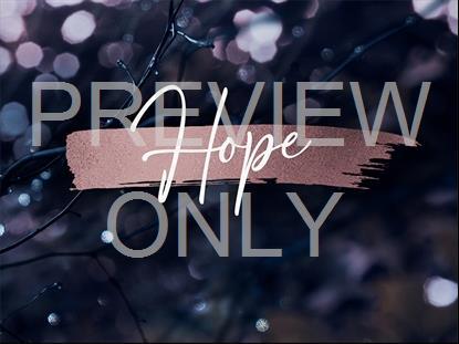 Winter Frost Hope Still