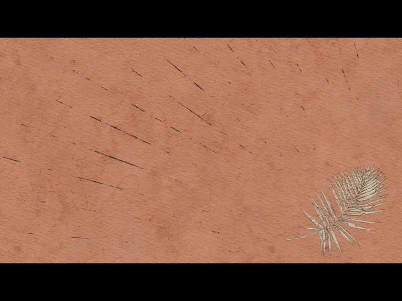 Drawn To Him Loop 02