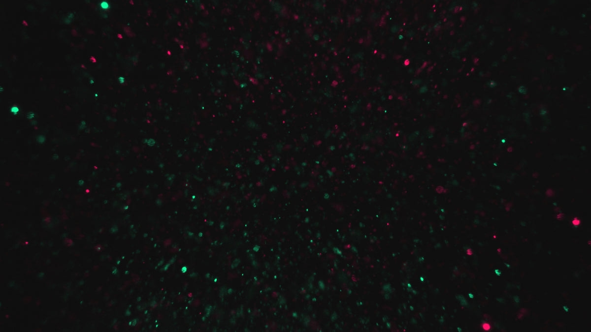 Christmas Glitter 11