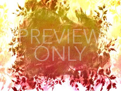 Fall Foliage 1 Still