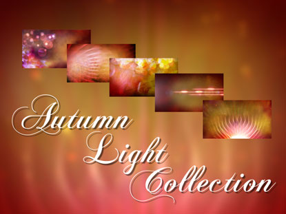 Autumn Light Collection