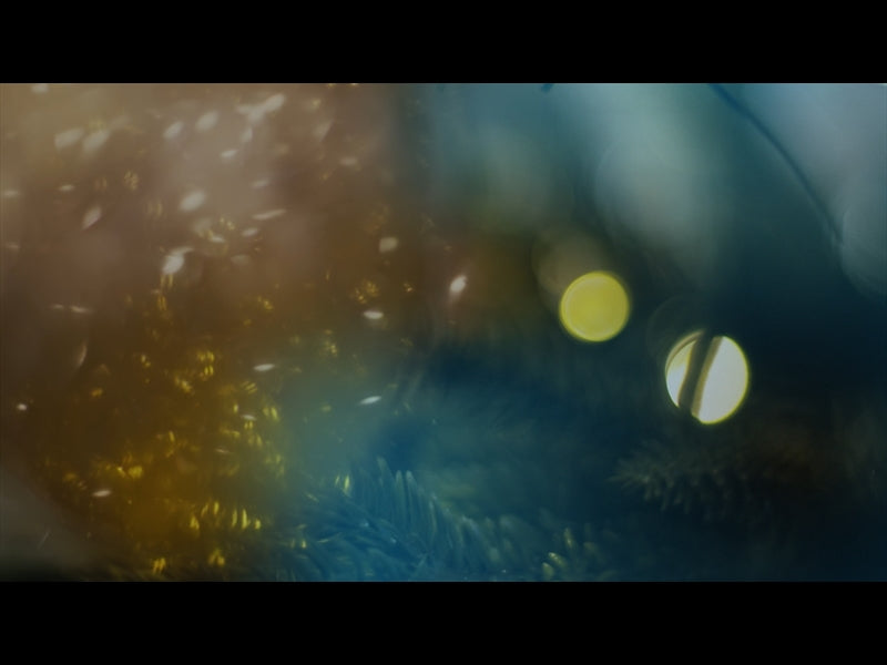 Bright And Beautiful Loop 09