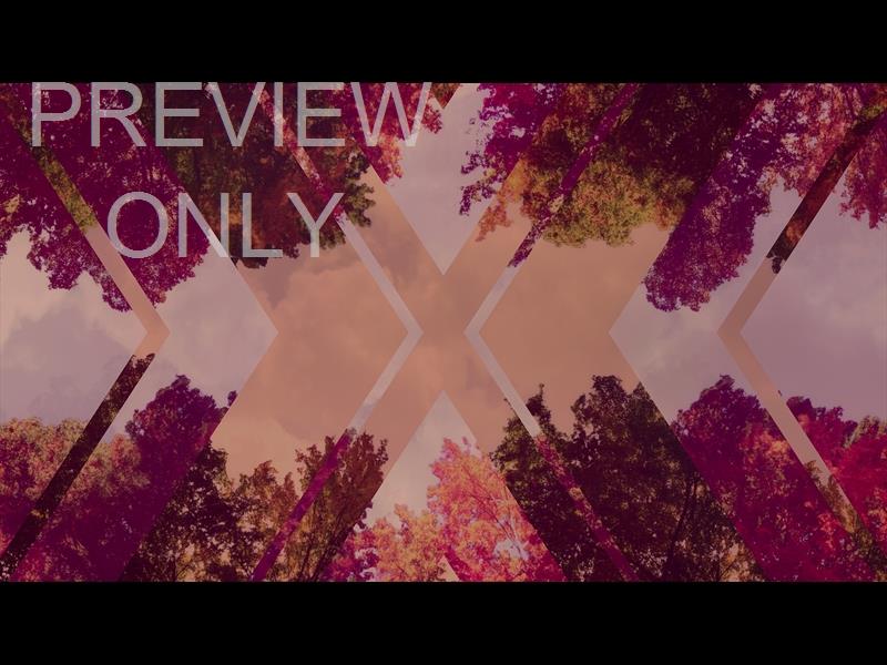 Fall Trees 7 Remix Still