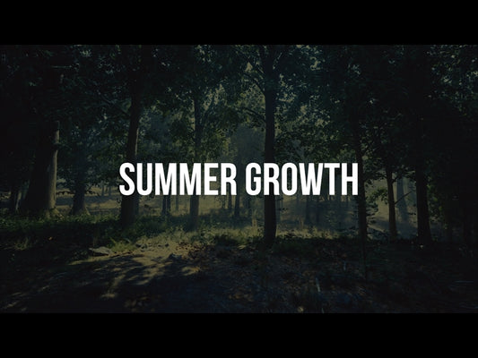 Summer Growth