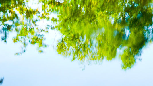 Living Waters 07