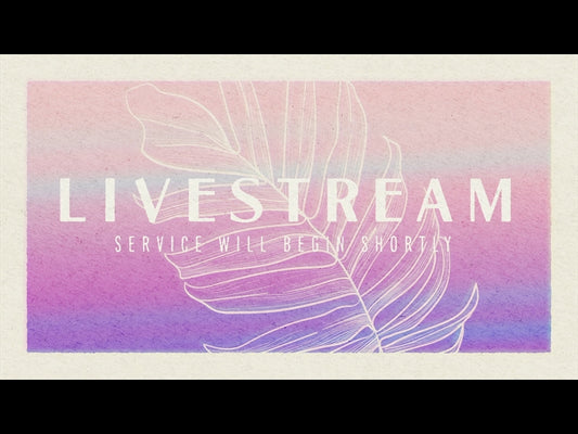 Paper Palm Livestream