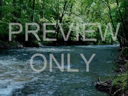River Wild 12 Hd Still