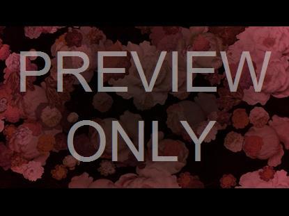 Who You Say I Am Still 8