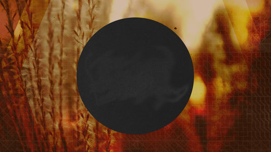 Autumn Grid Circle Still