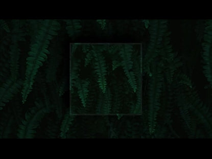 Leaves Square