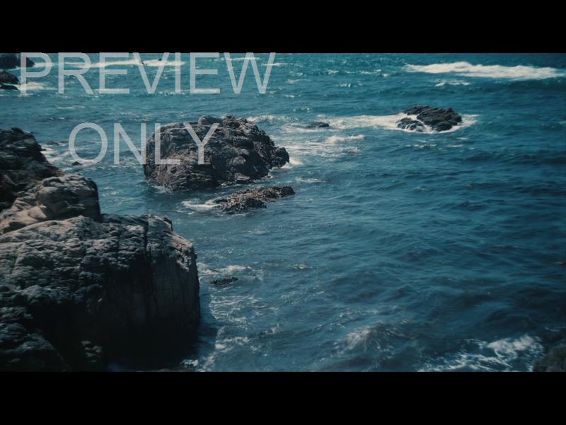Point Lobos 1 Still