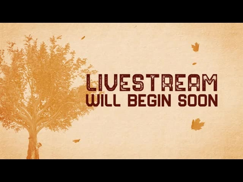 Fall Volume One: Livestream