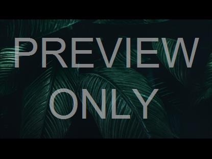 Tropical Leaves