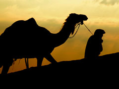 Magi In Desert 4