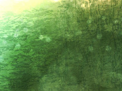 Holy Week Hues Motion 10