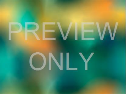 Neon Summer 9 Still