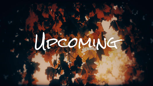 Autumn Fire Upcoming Still