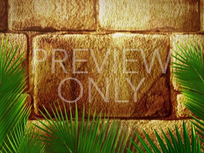 Jerusalem Palms Still 1