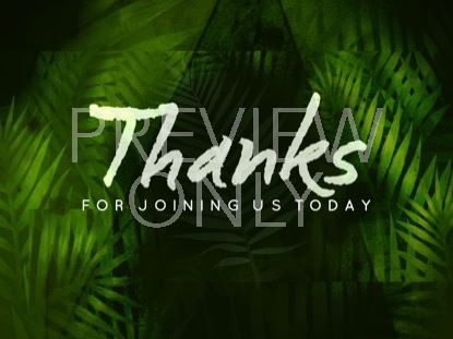 Palm Leaf Closing Still