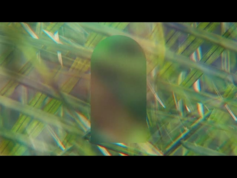 Easter Arches 03 Loop