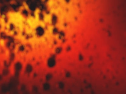 Carbonated Sunset