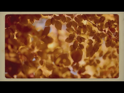 Yellow Leaves Retro