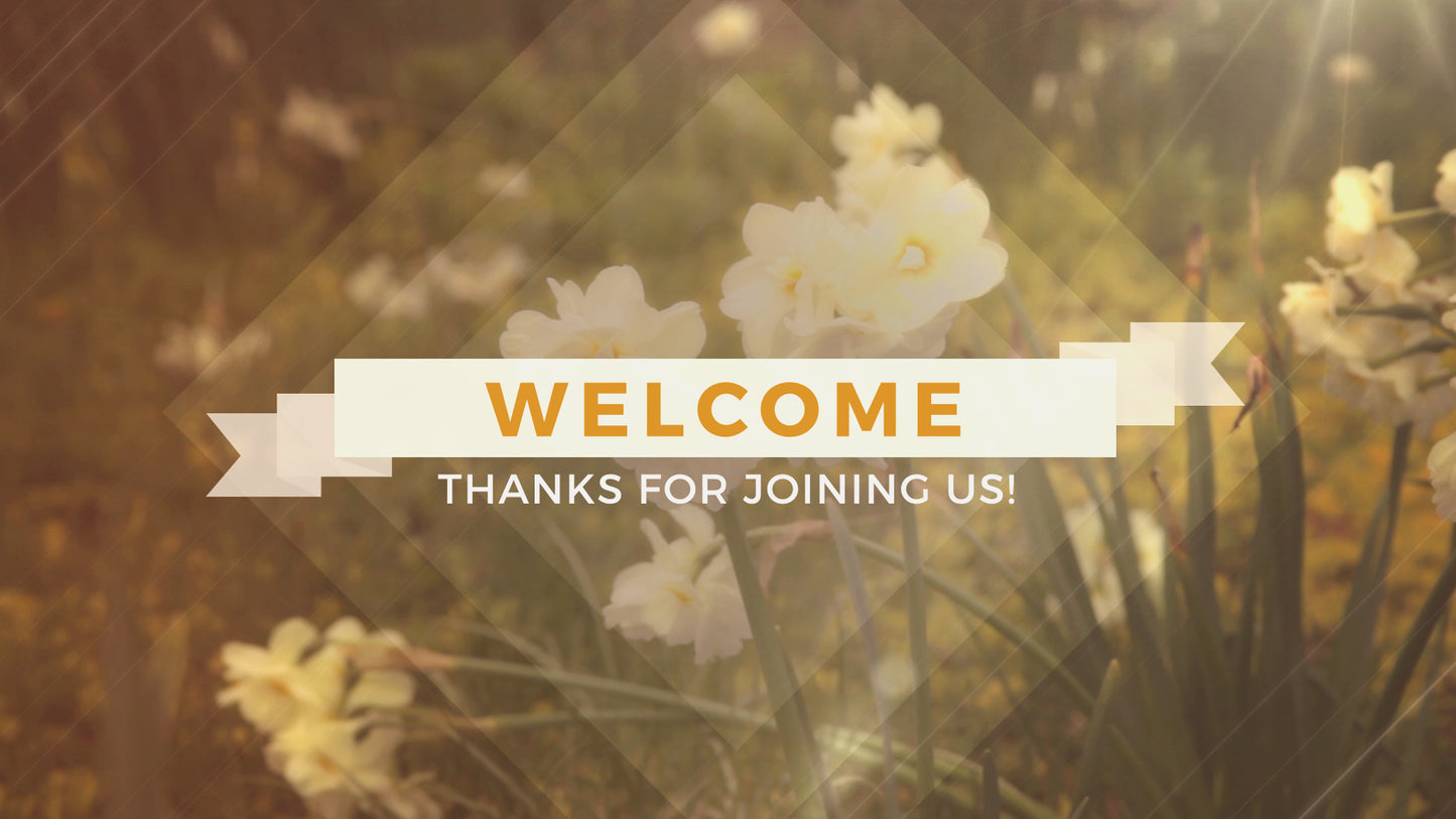 Fresh Flowers Welcome Still