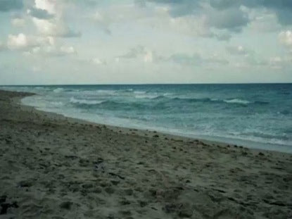 Ocean 1