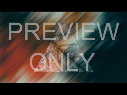 In The Fall 4 Graphic