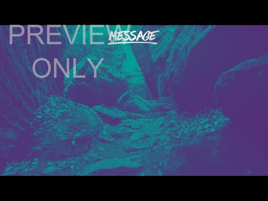 Deep Forest Message Still