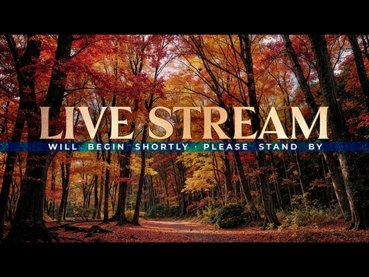 Forest Fall Live Stream