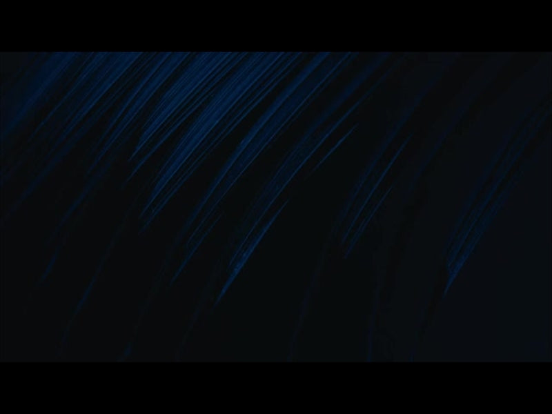 Cinematic Palms Loop 25