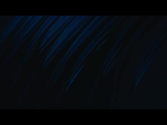 Cinematic Palms Loop 25